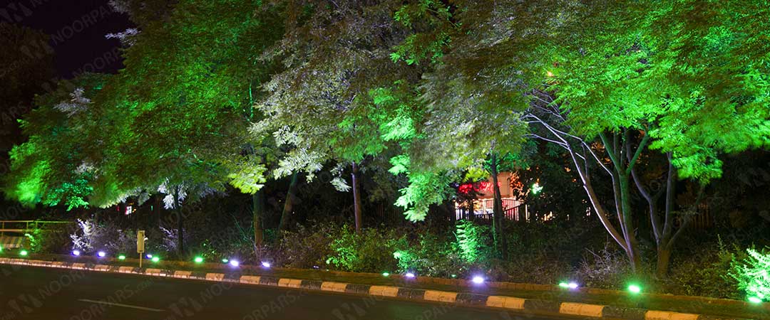 چراغ زیر درختی در مشهد
